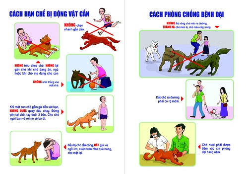 Hưởng ứng ngày Thế giới phòng chống bệnh dại 28/9: Tuyệt đối không chủ quan với bệnh dại
