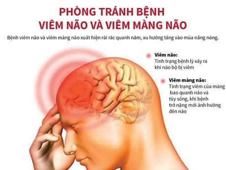 Tăng cường phòng chống bệnh Viêm não Nhật Bản