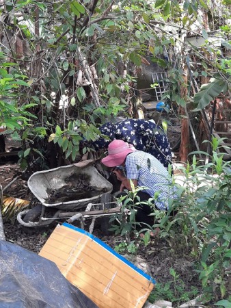 CDC tỉnh giám sát véc tơ truyền bệnh sốt xuất huyết tại 2 huyện Diễn Châu và Quỳnh Lưu.