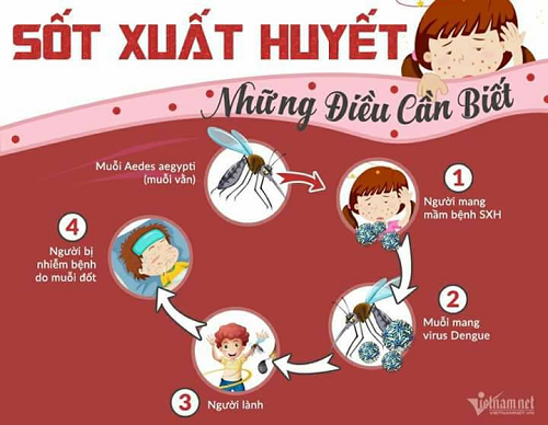 Ngày ASEAN phòng, chống sốt xuất huyết 15/6
