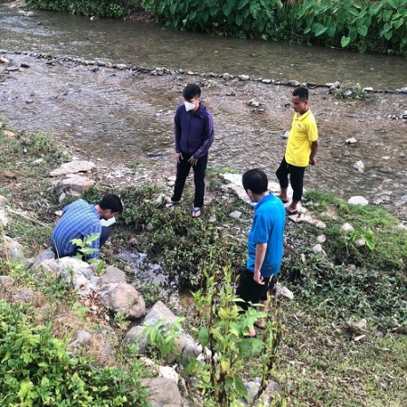 Nghệ An phát hiện thêm 01 trường hợp dương tính Viêm não Nhật Bản.