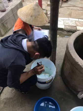 Tiếp tục xuất hiện thêm ca bệnh sốt xuất huyết ở xã Nghi Quang - Nghi Lộc - Nghệ An