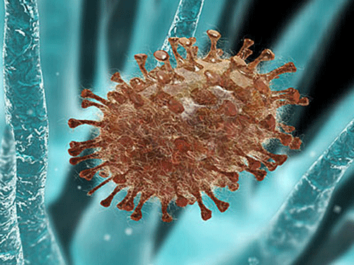 Các loại cúm thường gặp: Triệu chứng và những điều cần biết