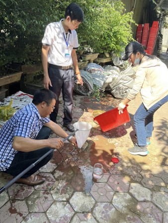 Giám sát các hoạt động phòng, chống Sốt xuất huyết Dengue