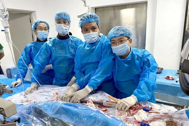 Bệnh viện Hữu nghị Đa khoa Nghệ An triển khai thường quy kỹ thuật đặt Stent Graft