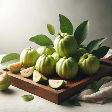 Câu hỏi thường gặp về bệnh kiết lỵ