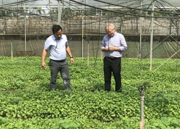 Phát huy nguồn dược liệu trong nước kết hợp công nghệ thuỷ phân Enzyme