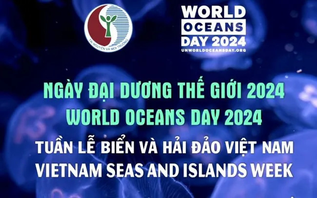 Ngày Đại dương thế giới 2024: đánh thức hiểu biết về giá trị xanh bền vững