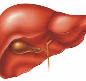 Dấu hiệu và các biện pháp phòng tránh men gan cao