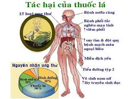 Luật Phòng, chóng tác hại thuốc lá