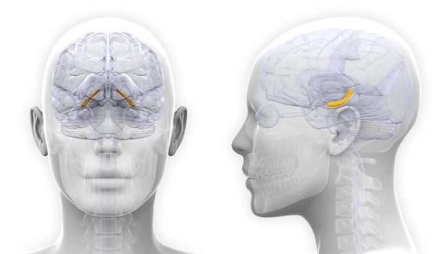 Trầm cảm sau sinh có liên quan đến những thay đổi trong não khi mang thai